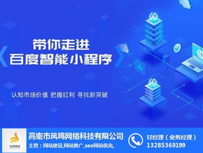 互联网广告服务 供应商与代理商的角色解析
