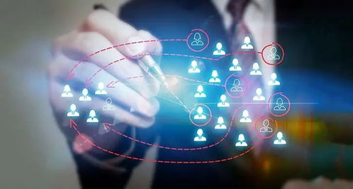 拓立奥园 四大服务部门助力互联网广告业务腾飞